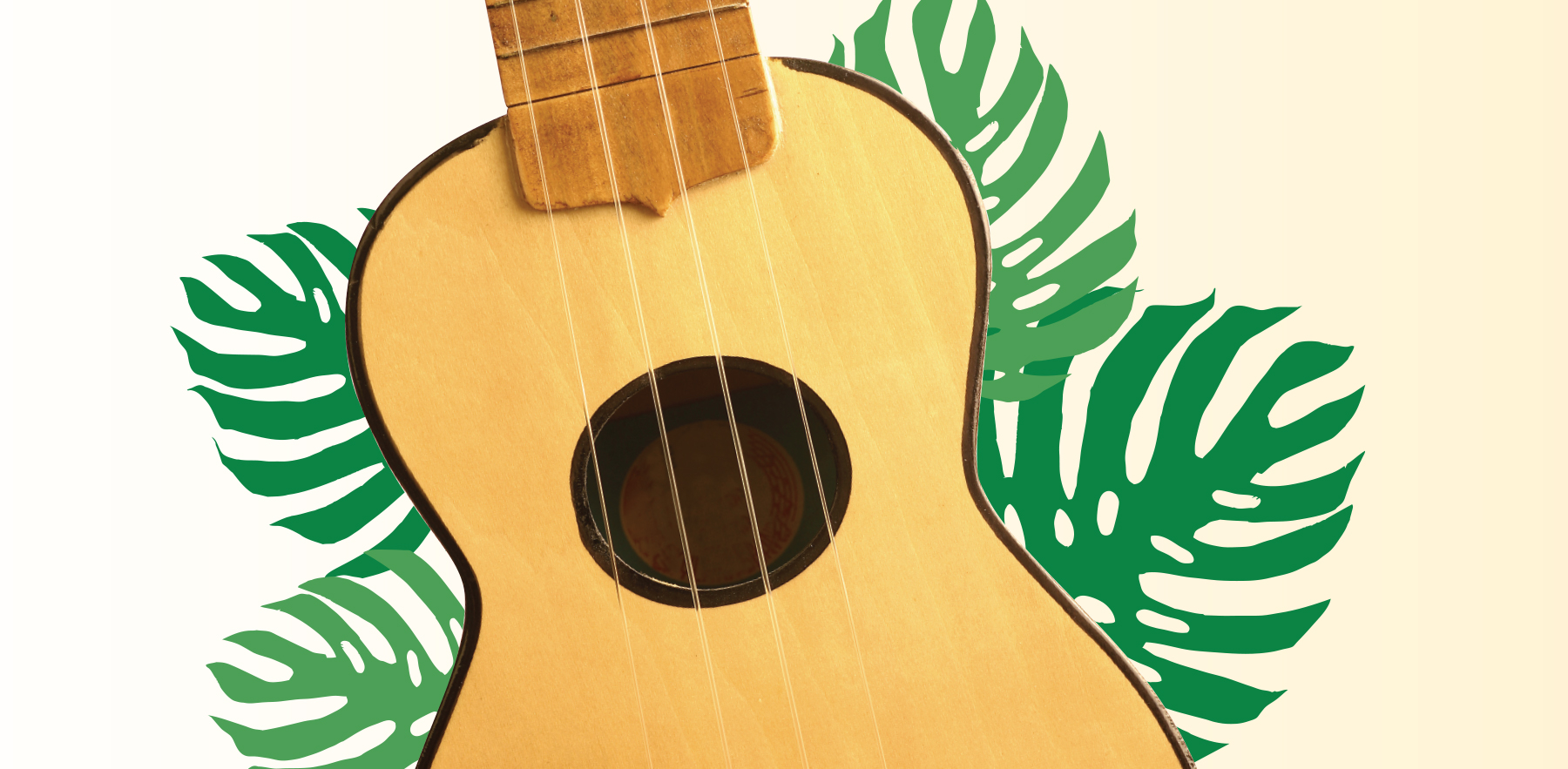 Ukulele and Plant